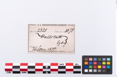 Etikett zu Bronzebreitrandschüssel (NHMW-PRAE-002321)